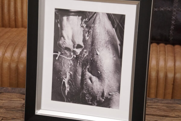 Produkt Bild