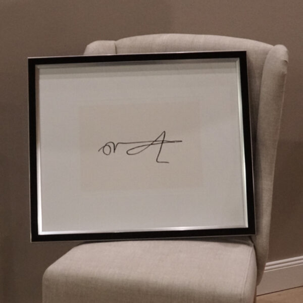 Sauterelle "Pablo Picasso"
