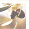 Produkt Bild