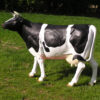 Produkt Bild