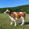 Produkt Bild