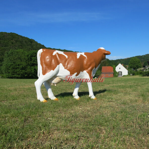 Produkt Bild