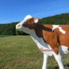 Produkt Bild