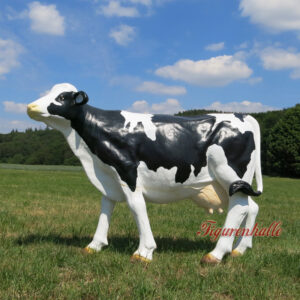 Produkt Bild