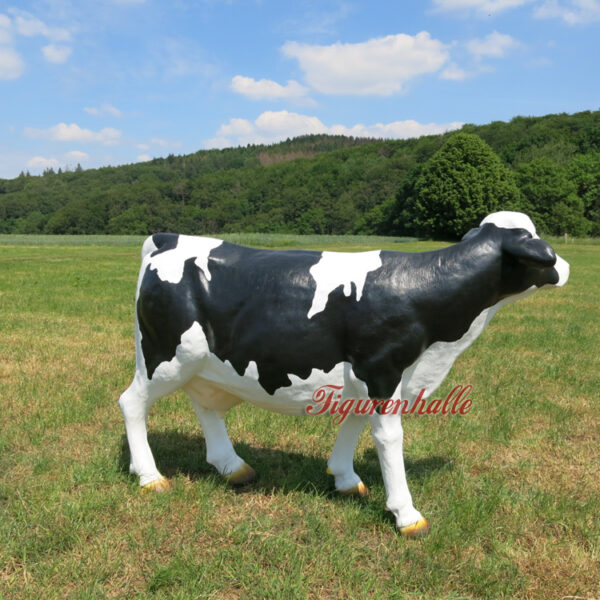 Produkt Bild