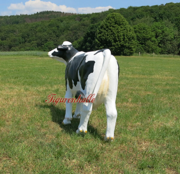 Produkt Bild