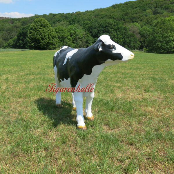 Produkt Bild