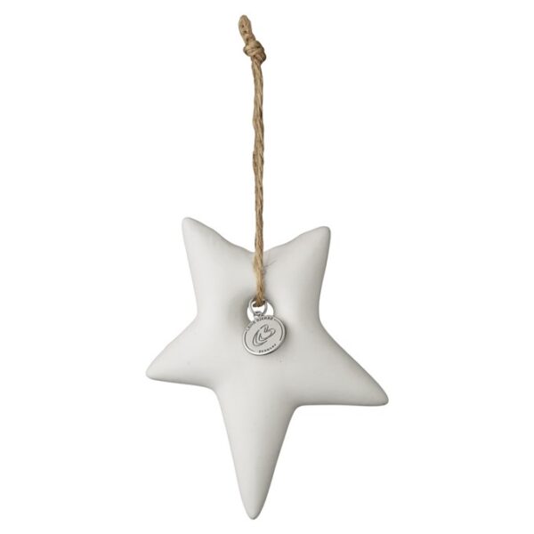 Delia Weihnachtsbaumstern