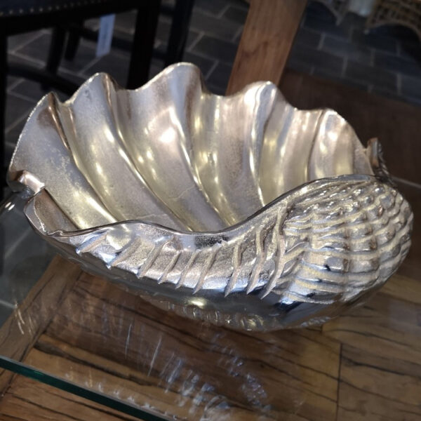 Muschel Schale