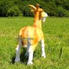 Produkt Bild