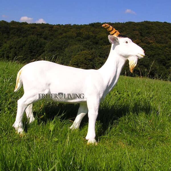 Produkt Bild