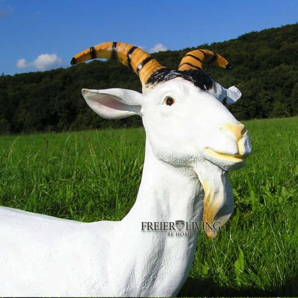 Produkt Bild