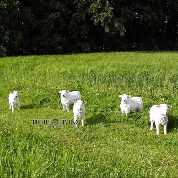 5er Schafe Schäfchen Schafherde als Figuren
