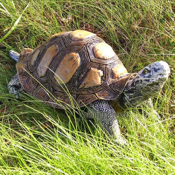Schildkröte Figur Panzerschildkröte
