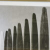 Produkt Bild