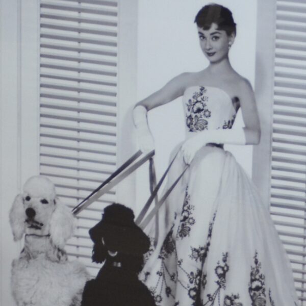 Kunstdruck Audrey Hepburn mit Pudeln