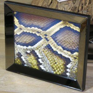 Wandbild Schlangenhaut
