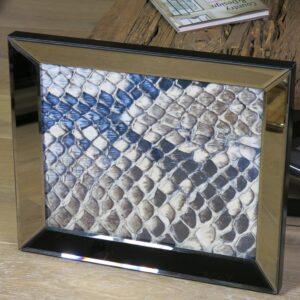 Wandbild Schlangenhaut