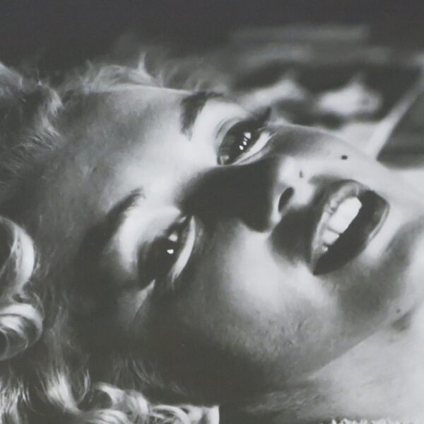 Portrait Monroe