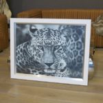 Wandbild Leopard