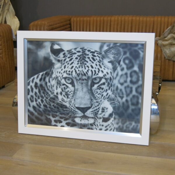 Wandbild Leopard