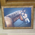Wandbild Pferd